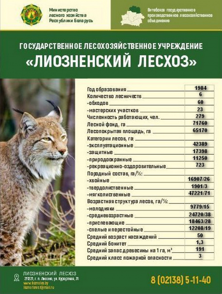 Лесхоз+цифры6.jpg