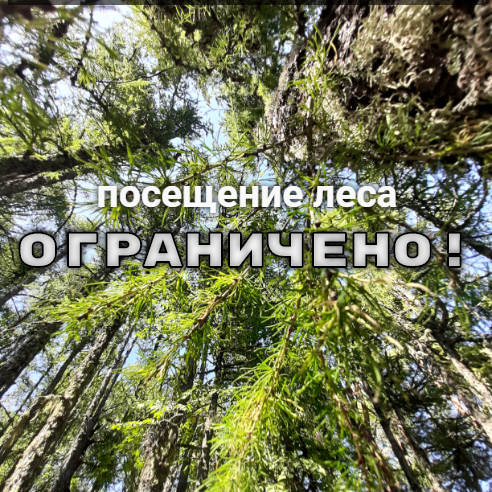 quote-2020-08-25-1598346360.jpg quote-2020-08-25-1598346360.jpg