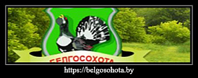 Белгосохота